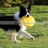 Sports Goods Kid Game Goods New Design OEM Polyester Flying Discs