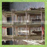 Bamboo Ladder thumbnail-1