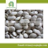 2014 crop kidney beans, white kidney beans, high protein dried beans