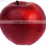 198# Huaniu Apple thumbnail-1