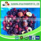 IQF Fruit Mixture Grade A thumbnail-5
