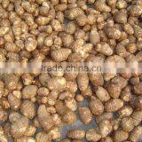 Taro,Eddoes thumbnail-5