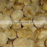 Frozen Shitake Mushroom thumbnail-4