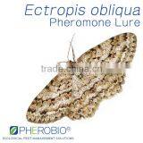 Pheromone Lure fo Ectropis Obliqua, Tea Geometrid Sex Pheromone Attractant thumbnail-1