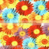 3D Water Transfer Printing Film thumbnail-1