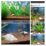 Expanded Clay Soil For Roof Garden,lightweight Expanded Clay Aggregate thumbnail-4