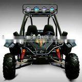 EEC buggy 250cc