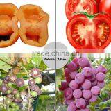 E27 24w Led Grow Light Marshydro Veg Flowerfull Spectrum Led Grow Light thumbnail-6