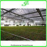 UV Protcetion Polycarbonate Sheet Greenhouse thumbnail-2