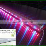 for Greenhouse Cherry Tomatos, 1500mm 75w Plant Interlighting LED Grow Light With Both Emitting Size thumbnail-2