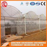 Plastic Film Greenhouse for Vegetables Planting,flowers,culture thumbnail-3