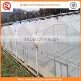 High Quality 12m Multi-span Agriculture Plastic Greenhouse for Vegetables thumbnail-5