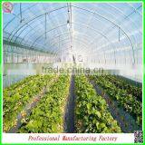 Single-span Large Tunnel Solar Greenhouse for Flower/vegetable Growing thumbnail-5