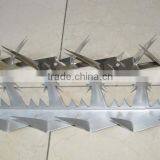 Anti Climb Sharp Wall Spike on Top of Wall and Fence thumbnail-1
