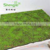 SJLJ013308 Wholesale Plastic Moss Mat / Artificial Moss for Decoration thumbnail-3