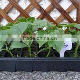 Custom Black Hydroponic Flood Tray thumbnail-2