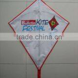 2013 Customized Printed Diamond Kite thumbnail-1