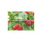 Plastic BOP Anti Bird Net&mesh Fruit&garden Protect Net&mesh Agriculture Anti Bird Net&mesh(factory) thumbnail-2