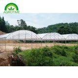 2019 High Strength Multispan Vegetables Greenhouse With Plastic Film for Sale thumbnail-5
