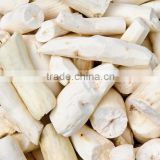 Best Prices Fresh Cassava Root Planter for export