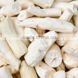 Best Prices Fresh Cassava Root Planter for Export