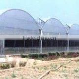 Agriculture Muti-span Plastic covered Greenhouse