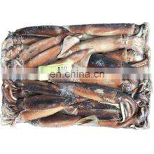 Wholesale China Frozen Argentina Illex Squid thumbnail-1