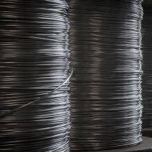 12032617_440628636121376_686808889230829317_o