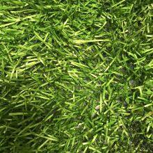 Wholesale High Quality 70g Aerial Photo Camouflage Net Shade Plastic Car Drop Hunting Cover For Military Photography Camp thumbnail-3