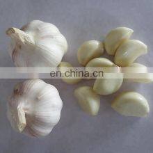Garlic Ginger Peeling Machine/ Garlic Peeler /garlic Peeling thumbnail-2