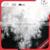 Top Quality Duck Down, Wholesale Sticky Duck Down thumbnail-1