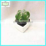 10cm New Design Hot Sale Artificial Mini Cactus Plants thumbnail-1