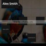 Family Photographers thumbnail-1