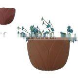 Clay Pot thumbnail-1