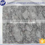 Import India Blue Granite Morden Design Table Top &vanity Top Light Blue Stairs