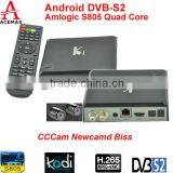 Acemax amlogic dvb s2 tv box Ki sopport newcamd, easy to enjoy sharing