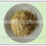 Dehydrated Onion Diced (5*5mm)