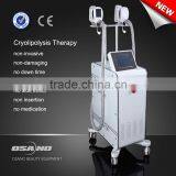 Frozen Fat Portable Cryofreeze System Beauty Machine Cryotherapy Facial Equipment thumbnail-1