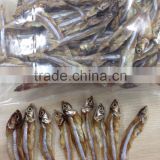 GOOD QUALITY DRIED SPRATS/ANCHOVY BY SUN SILVER LINE (Email: katherine.vilaconic@gmail.com , Viber, Whatsapp: +841687264621)