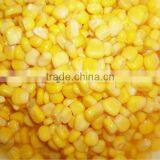 Canned Sweet Corn in Jars thumbnail-1