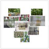 Grow Rockwool Cubes for Tower Garden / Seeds / Sound Insulation