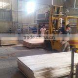 PACKING PLYWOOD FOR SINGAPORE MARKET - STANDARD SIZE 1220*2440MM PACKING PLYWOOD