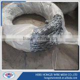 Hot Sale Fence/ Razor Barbed Wire for Fencing with ISO 9001 System