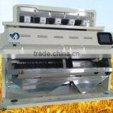 6 Chutes 384 Channels Rice Color Sorter Machine in China thumbnail-5