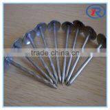 Low Price Stainless Galvanized Concrete Nails thumbnail-3