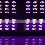 Marshydro Epistar 160 Full Spectrum Hydroponic Led Grow Light CE,ETL,RoHS Certification thumbnail-4