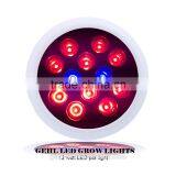 2017 Salable 12W Led Light For Indoor Plant From Shenzhen Factory thumbnail-4