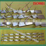 Wall Spike One Top of Fence and Wall thumbnail-2