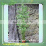 Artificial Bamboo Plant/high Imitation Lucky Bamboo for Decoration thumbnail-1