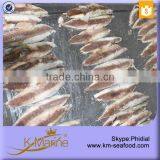 Hot Sale With Dark Meat Mackerel Fillet